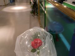 -银吉姆健身(恒隆馆)