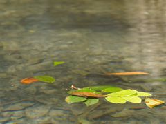 -雁荡山三折瀑景区