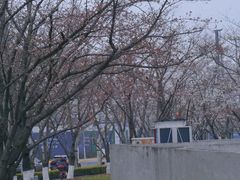 -龙美术馆(西岸馆)