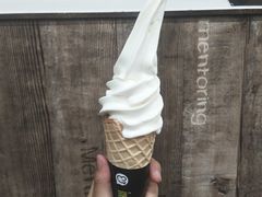 -蜜雪冰城(托乐嘉店)