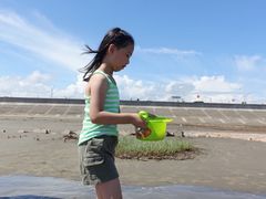 -南汇嘴观海公园