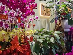 -溪岸路花鸟市场