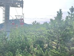 -摩天岭风景区