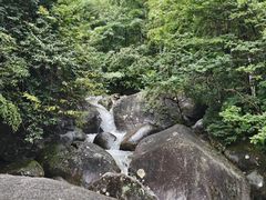 -大围山国家森林公园