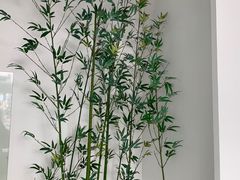 -苏州图书馆(人民路总馆)