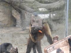 -泉州海丝野生动物世界