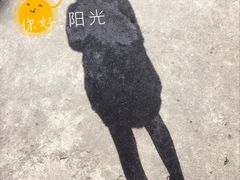 -金汇酒楼(中山东区店)