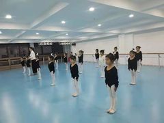 -西安小天鹅艺术团(曲江Alice店)