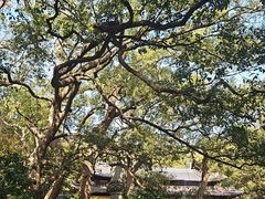 -普陀山风景名胜区-法雨禅寺