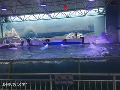 -秦皇岛乐岛海洋王国