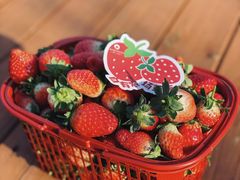 -菲尔雪CAKE(九方店)