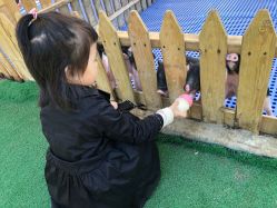 -萌宠亲子动物乐园(槐房万达店)