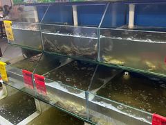 -阿弟特色海鲜餐厅·大排档(平潭店)