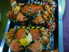 -小陆莲花蟹园农家乐(莲花岛店)