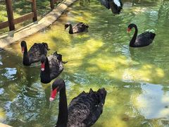 -南戴河国际娱乐中心