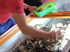 -土蚝·高压锅生蚝(百姓美食街店)