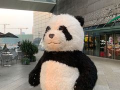 -COSTA COFFEE(成都来福士店)