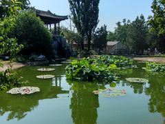 -国家植物园南园