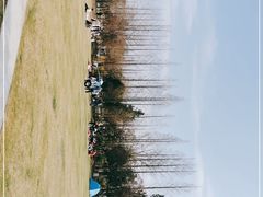 -前小桔亲子创意农场·草莓采摘·露营烧烤