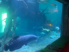 -华夏文旅海洋公园