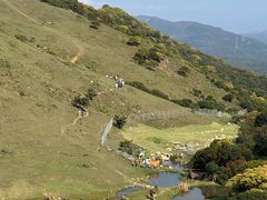 -大姆山草场