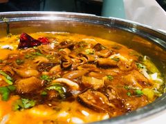 肥肠鱼-龙梅肥肠鱼(明瓦廊店)