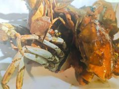 -四海蒸鲜蒸汽海鲜自助(北戴河店)