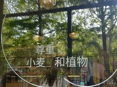 -大小咖啡 BigSmallCoffee(麦子店)