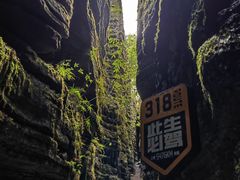 -梭布垭石林景区