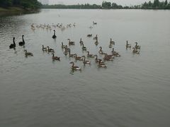 -艾溪湖湿地公园