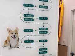 -瑞派康怡24h宠物医院·犬猫医疗中心·微创绝育(瑞景分院)