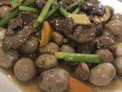 -鹭岛新泉客家菜·海鲜·融合菜(莲前店)