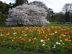-石家庄市植物园