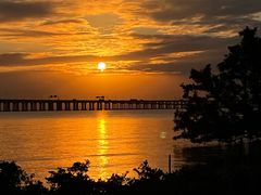 -宝安西湾红树林湿地公园