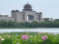 -莲花池公园