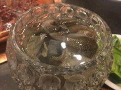 -老码头火锅(玉林店)