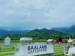 -溪口-滕头旅游景区