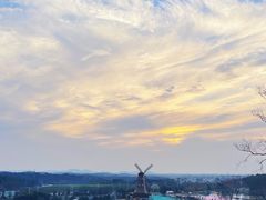-大塘金香草谷