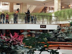 -广州白天鹅宾馆