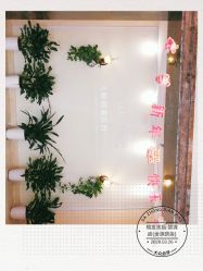 -碧莲盛·不剃发植发
