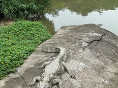 -广州长隆飞鸟乐园