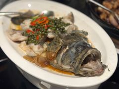 青花椒蒸龙胆鱼-闽和南(深圳万象城店)
