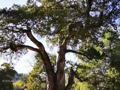 -北京鹫峰国家森林公园