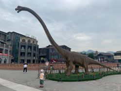 点击看大图 -恐龙探索乐园(磁器口店)