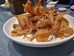 -大队长大灶鹅