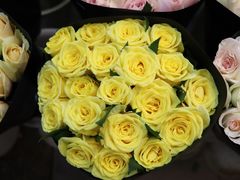 -双季花艺园艺市场(浦东店)
