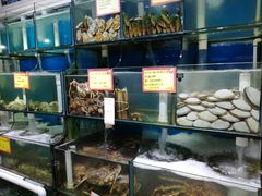 水产区-蚝专家(北滘店)