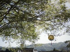 -呈坎景区