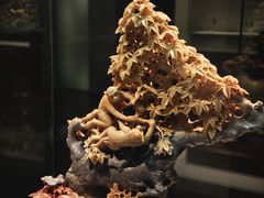 -杭州工艺美术博物馆