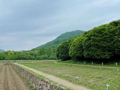 -八卦田遗址公园